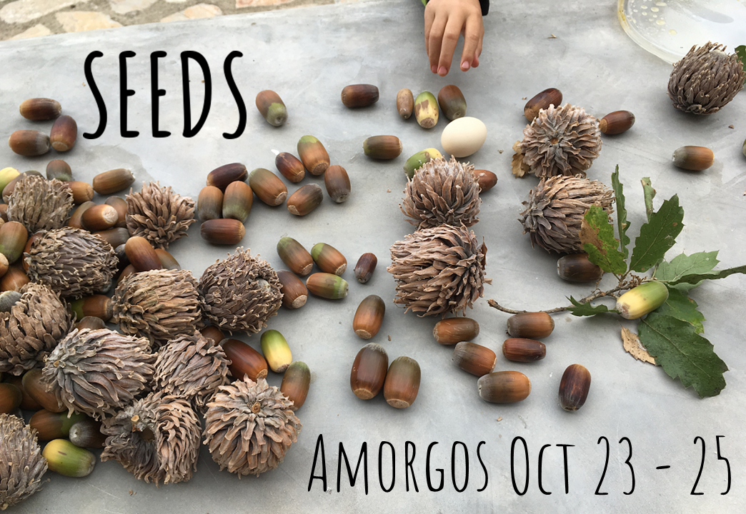 seedsoooo